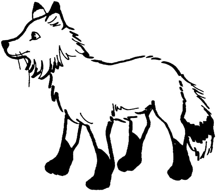 Desenho gratuito Raposa #179489 da colecao Animais para imprimir