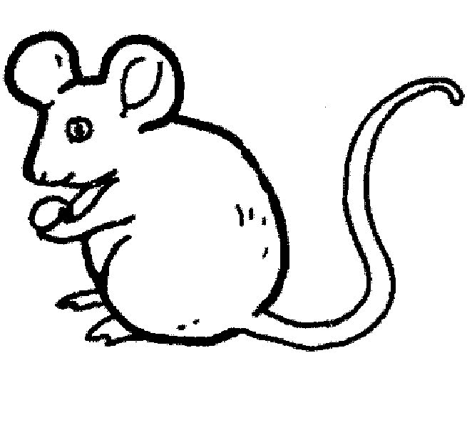 Página para colorir: Rato (animais) #13938 - Páginas para Colorir Imprimíveis Gratuitamente