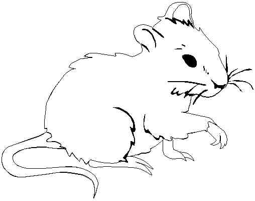 Página para colorir: Rato (animais) #13943 - Páginas para Colorir Imprimíveis Gratuitamente