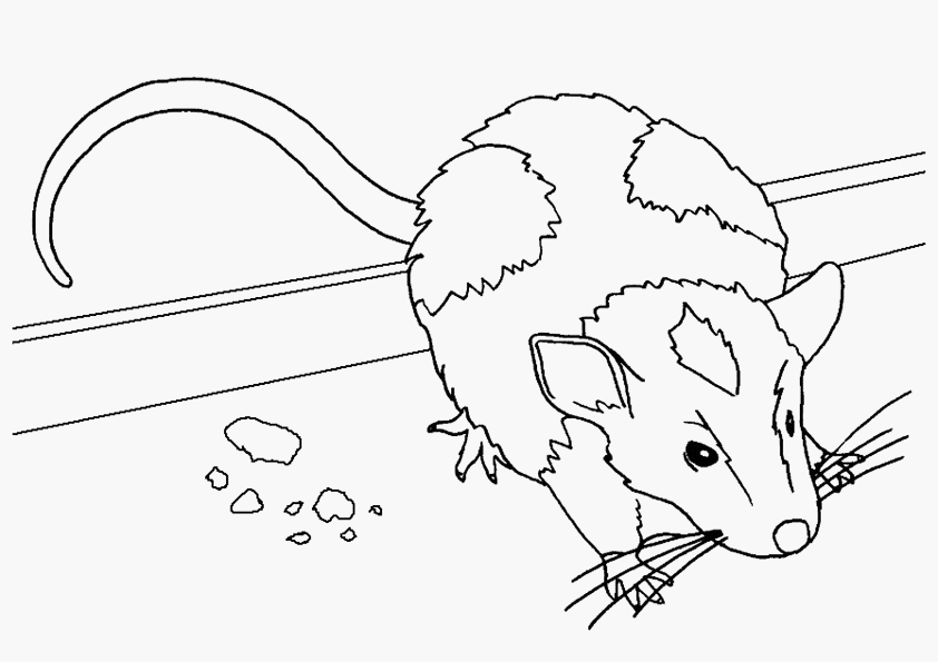 Página para colorir: Rato (animais) #13963 - Páginas para Colorir Imprimíveis Gratuitamente