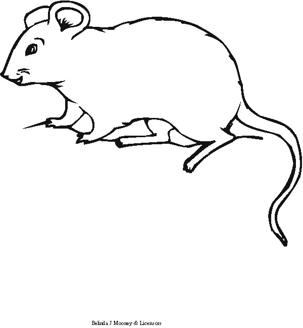 Página para colorir: Rato (animais) #14111 - Páginas para Colorir Imprimíveis Gratuitamente