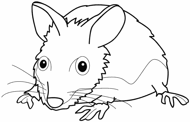 Página para colorir: Rato (animais) #14130 - Páginas para Colorir Imprimíveis Gratuitamente