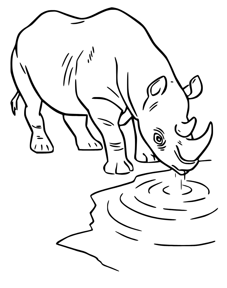 Desenho gratuito Rinoceronte #206673 da colecao Animais para imprimir