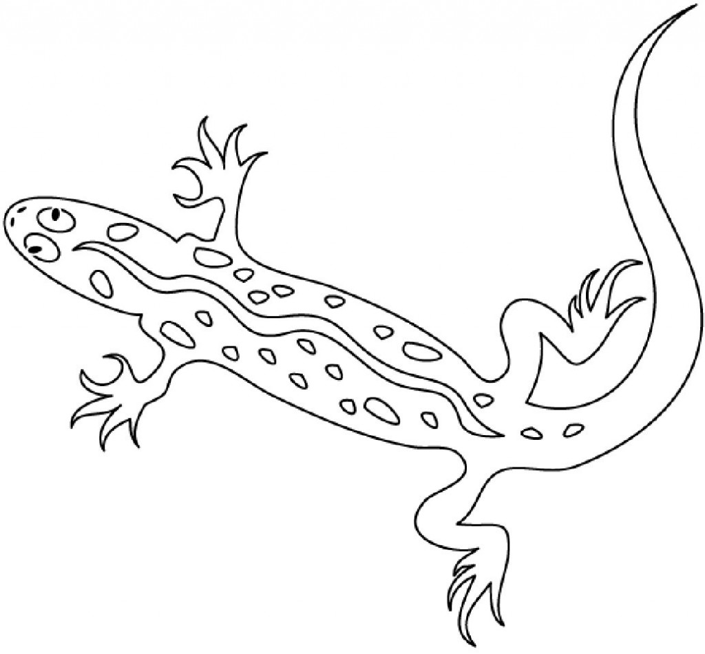 Página para colorir: Salamandra (animais) #19930 - Páginas para Colorir Imprimíveis Gratuitamente