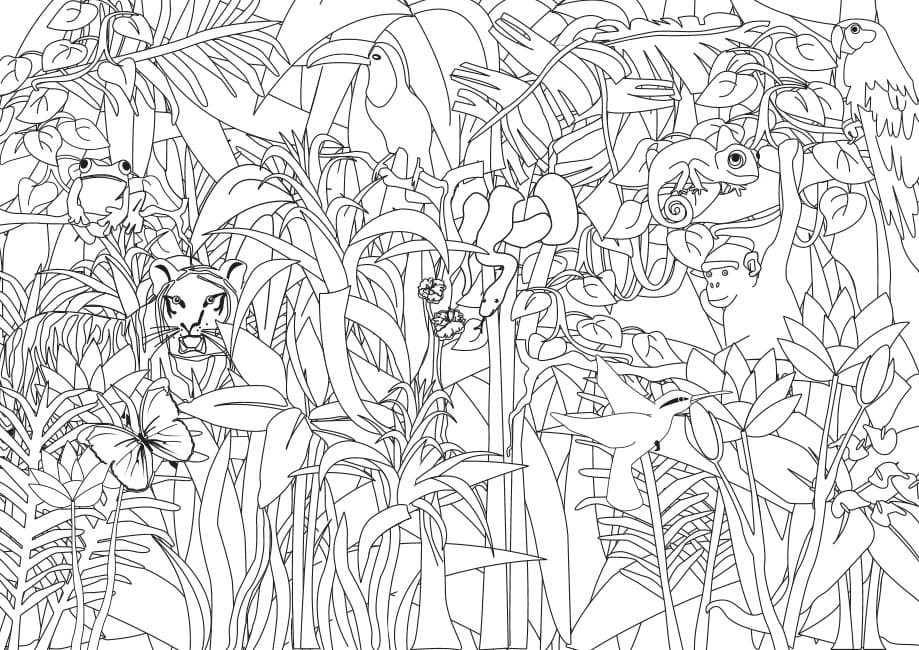 Desenho gratuito Selva #181010 da colecao Animais para imprimir