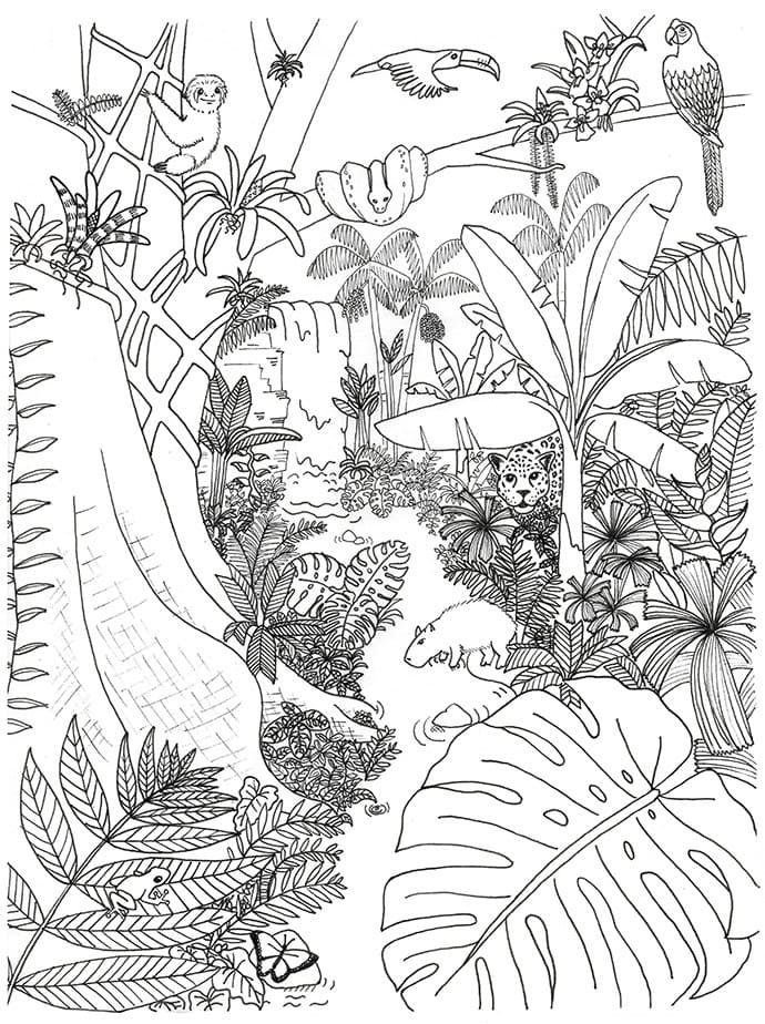 Desenho gratuito Selva #181015 da colecao Animais para imprimir