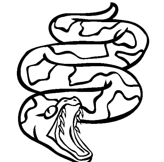 Desenho gratuito Serpente #175132 da colecao Animais para imprimir