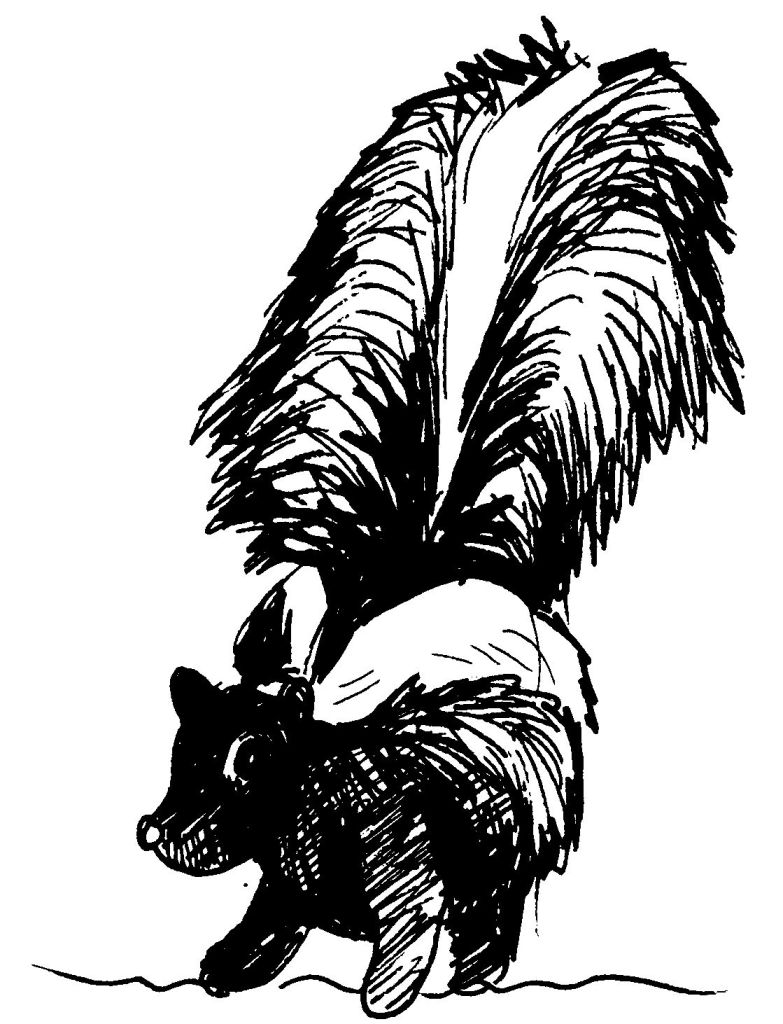 Página para colorir: Skunk (animais) #11192 - Páginas para Colorir Imprimíveis Gratuitamente