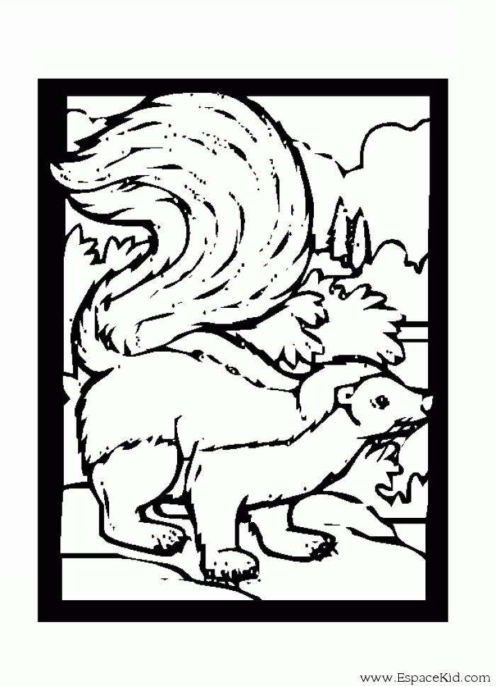 Página para colorir: Skunk (animais) #11290 - Páginas para Colorir Imprimíveis Gratuitamente