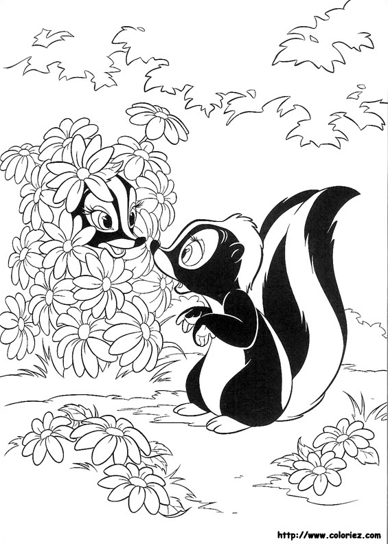 Página para colorir: Skunk (animais) #11295 - Páginas para Colorir Imprimíveis Gratuitamente