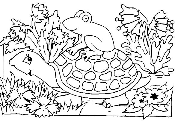 Página para colorir: Tartaruga (animais) #13557 - Páginas para Colorir Imprimíveis Gratuitamente