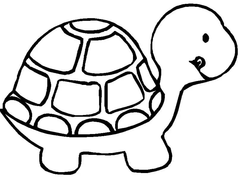 Desenho gratuito Tartaruga #180093 da colecao Animais para imprimir Desenho gratuito Tartaruga #180093 da colecao Animais para imprimir