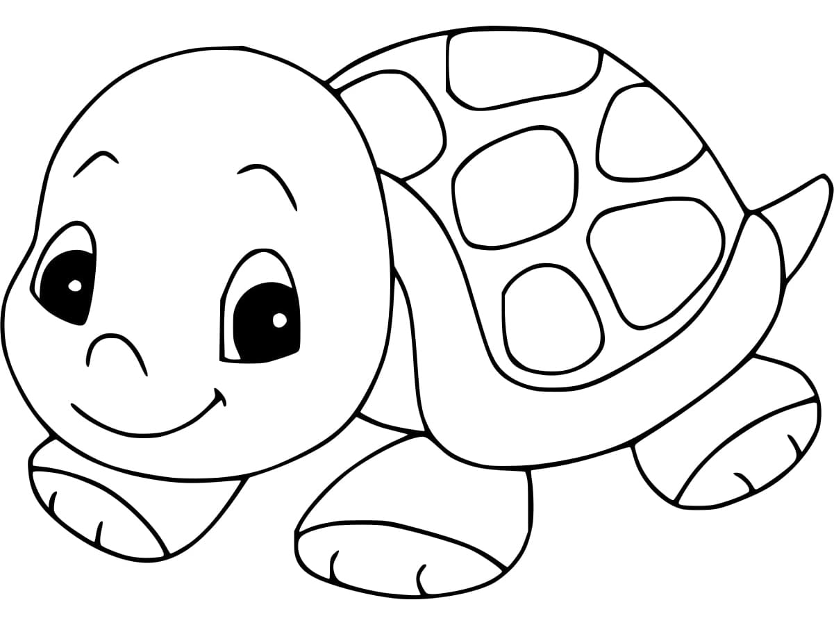 Linda página de Tartaruga #217141 para colorir, da coleção Animais, baixe grátis