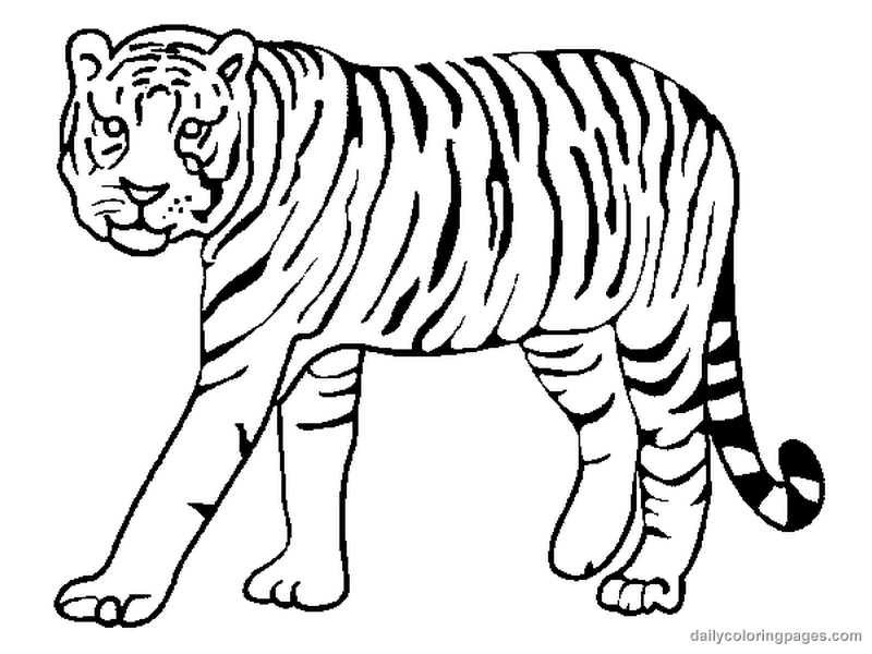 Página para colorir: Tigre (animais) #13591 - Páginas para Colorir Imprimíveis Gratuitamente