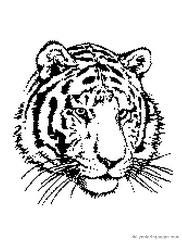 Página para colorir: Tigre (animais) #13592 - Páginas para Colorir Imprimíveis Gratuitamente