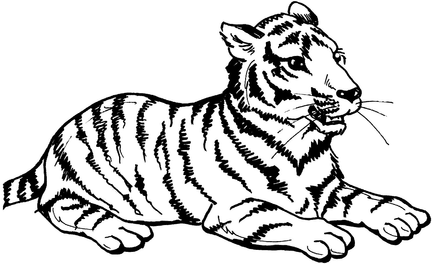 Página para colorir: Tigre (animais) #13597 - Páginas para Colorir Imprimíveis Gratuitamente