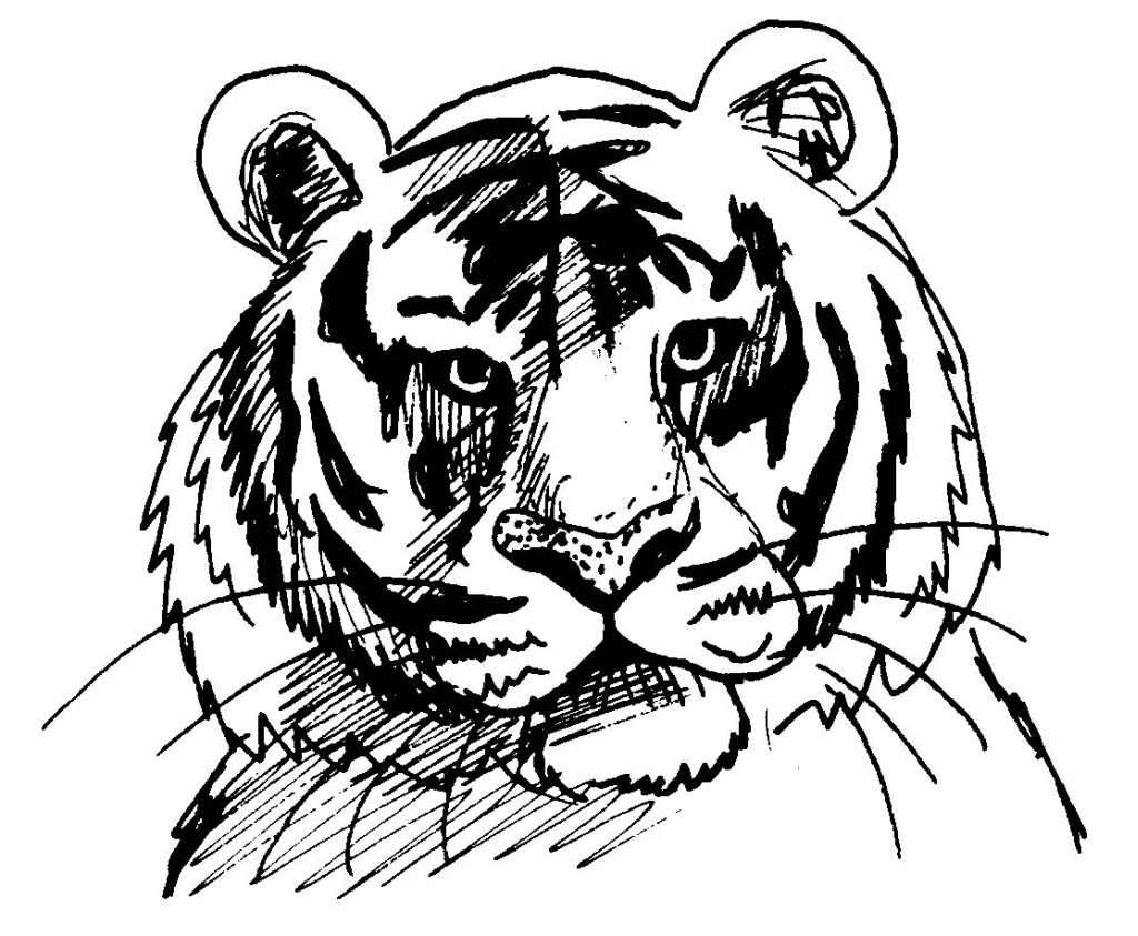 Página para colorir: Tigre (animais) #13610 - Páginas para Colorir Imprimíveis Gratuitamente