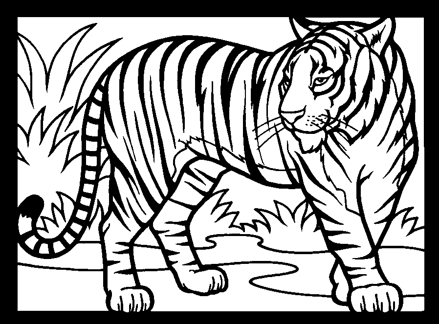 Página para colorir: Tigre (animais) #13615 - Páginas para Colorir Imprimíveis Gratuitamente