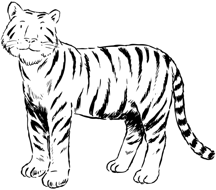 Página para colorir: Tigre (animais) #13621 - Páginas para Colorir Imprimíveis Gratuitamente