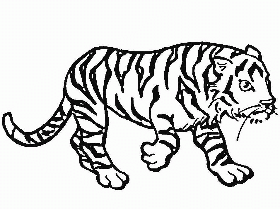 Página para colorir: Tigre (animais) #13629 - Páginas para Colorir Imprimíveis Gratuitamente