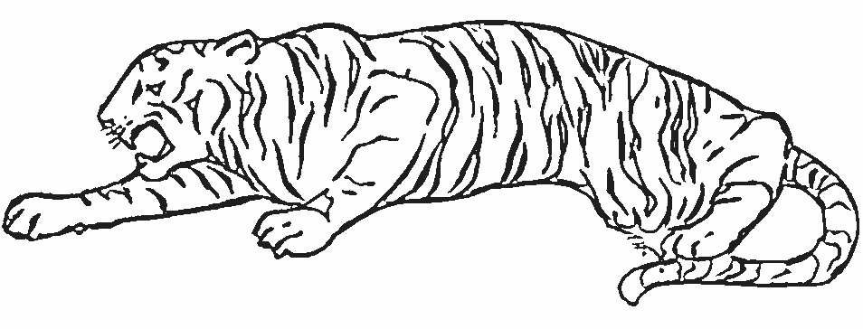 Página para colorir: Tigre (animais) #13637 - Páginas para Colorir Imprimíveis Gratuitamente