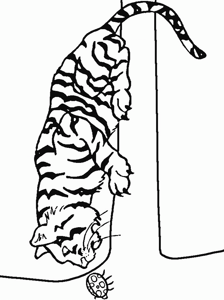 Página para colorir: Tigre (animais) #13651 - Páginas para Colorir Imprimíveis Gratuitamente