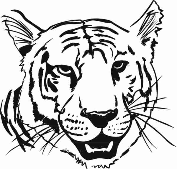 Página para colorir: Tigre (animais) #13666 - Páginas para Colorir Imprimíveis Gratuitamente