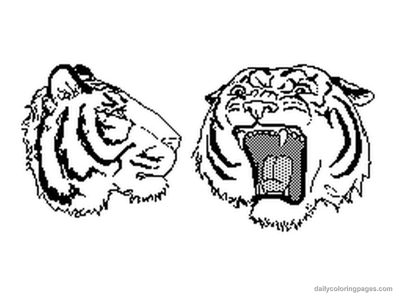 Página para colorir: Tigre (animais) #13697 - Páginas para Colorir Imprimíveis Gratuitamente