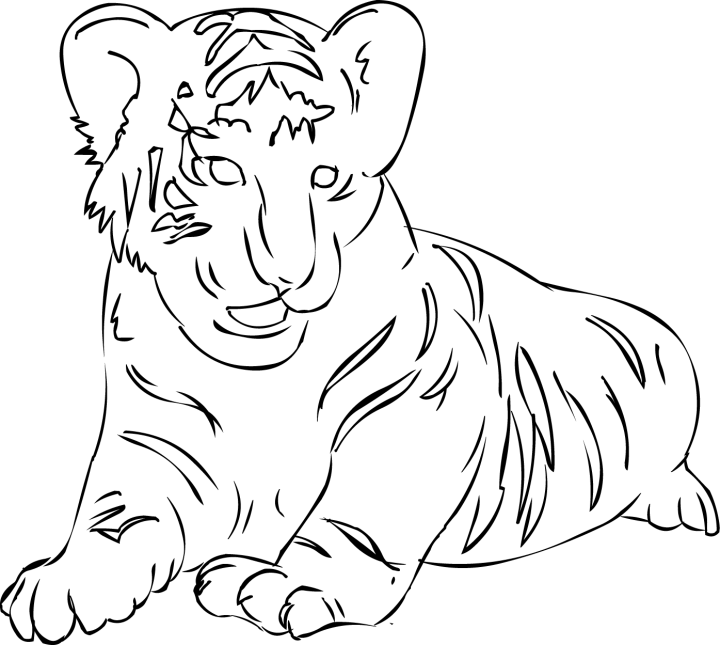 Página para colorir: Tigre (animais) #13701 - Páginas para Colorir Imprimíveis Gratuitamente