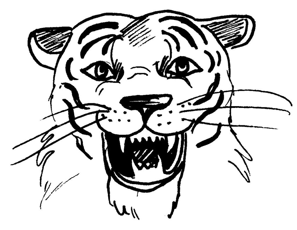 Página para colorir: Tigre (animais) #13716 - Páginas para Colorir Imprimíveis Gratuitamente