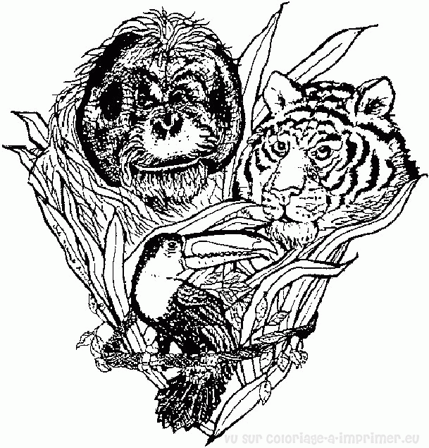 Página para colorir: Tigre (animais) #13756 - Páginas para Colorir Imprimíveis Gratuitamente