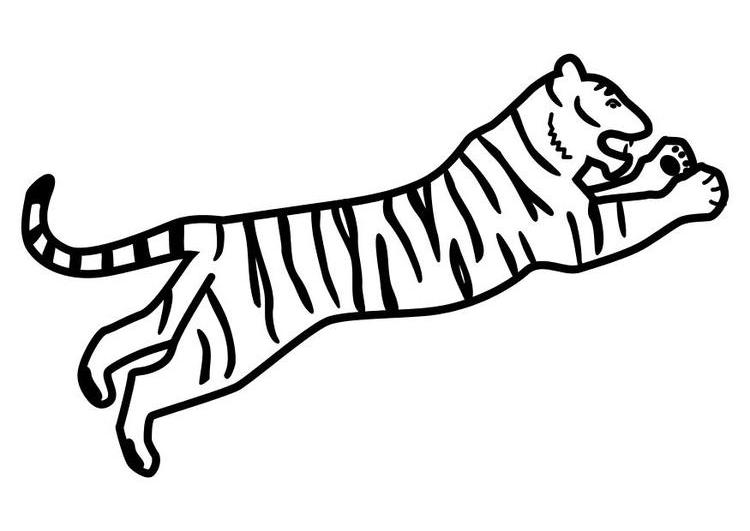 Página para colorir: Tigre (animais) #13780 - Páginas para Colorir Imprimíveis Gratuitamente