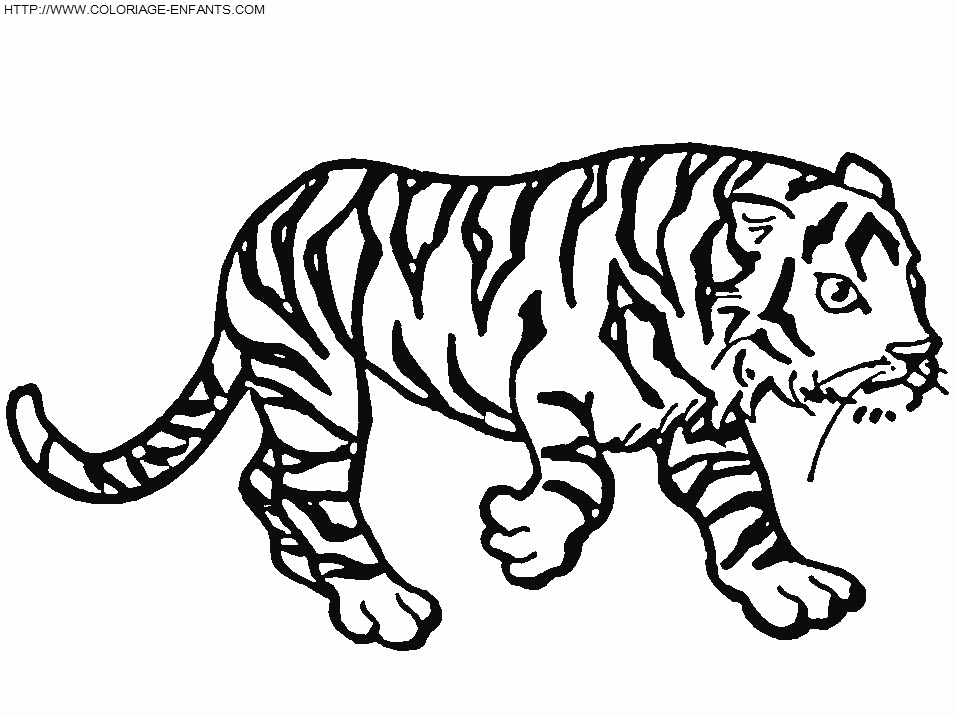Página para colorir: Tigre (animais) #13781 - Páginas para Colorir Imprimíveis Gratuitamente