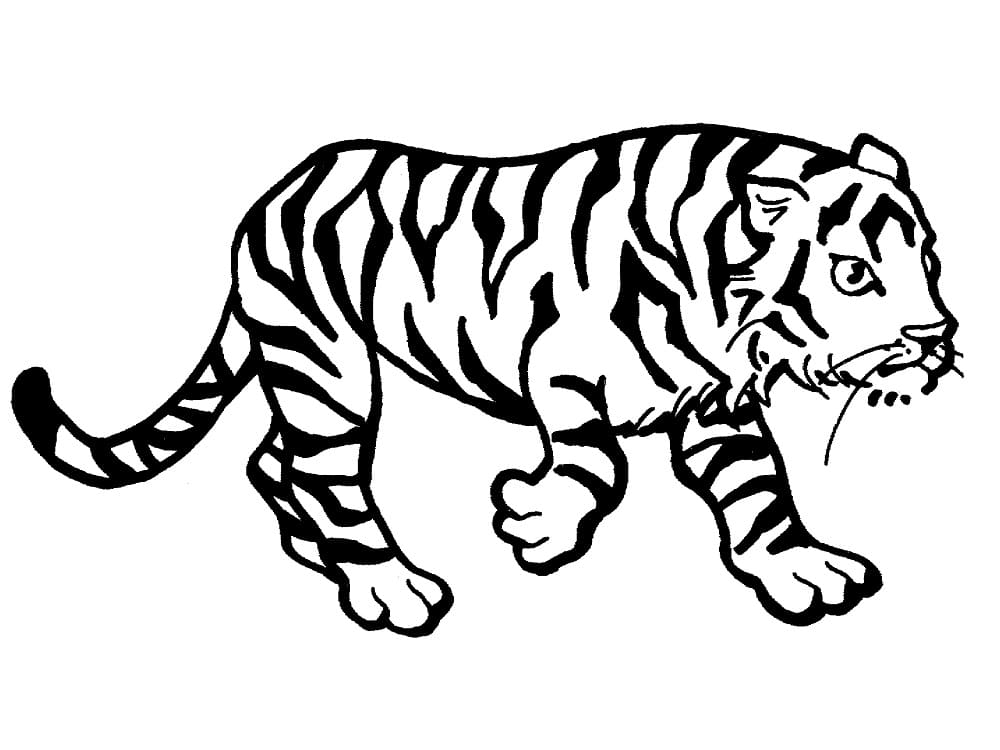 Desenho gratuito Tigre #174912 da colecao Animais para imprimir