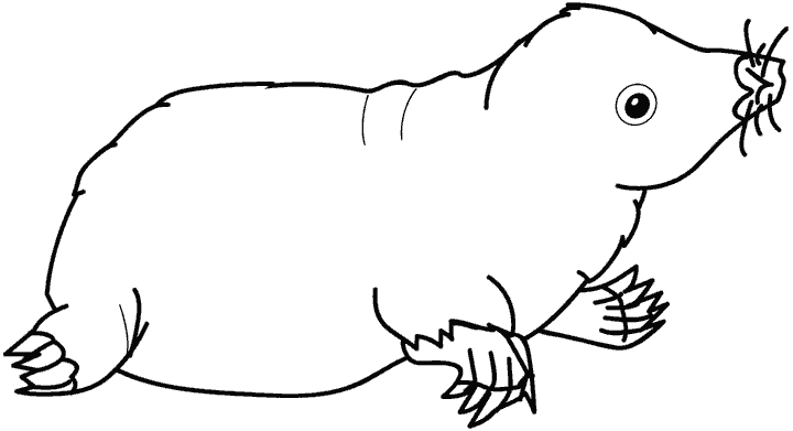 Desenho gratuito Toupeira #19381 da colecao Animais para imprimir