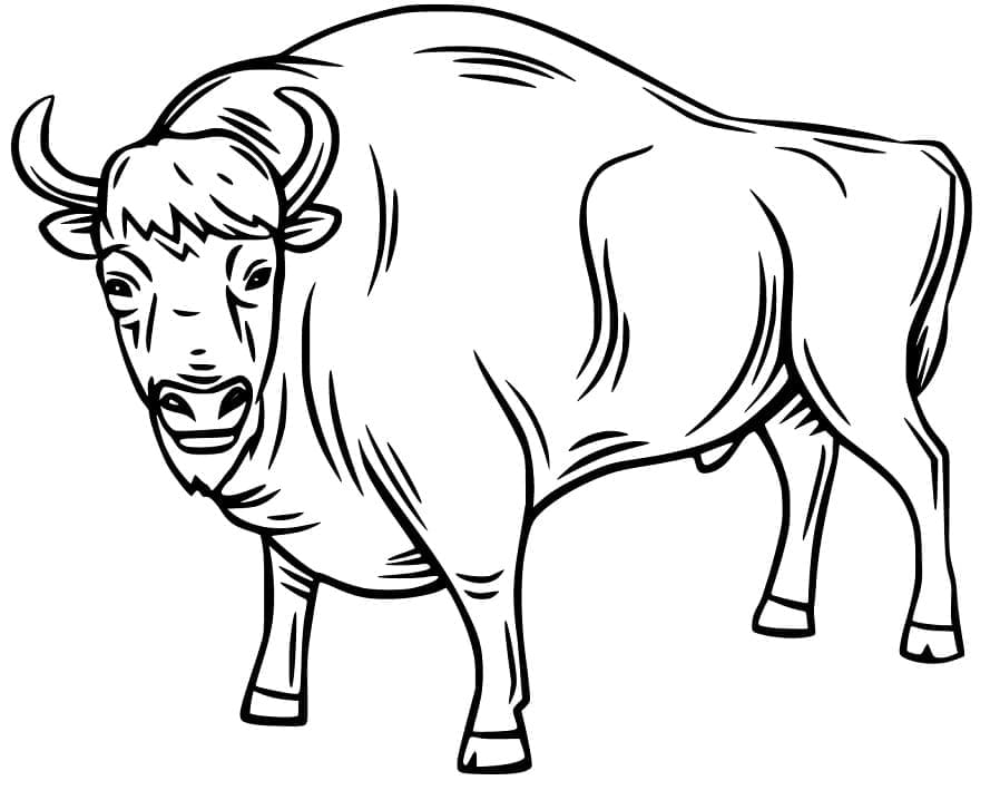 Desenho gratuito Touro #188592 da colecao Animais para imprimir