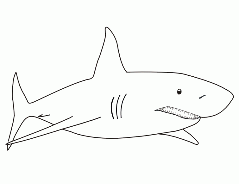 Página para colorir: Tubarão (animais) #14766 - Páginas para Colorir Imprimíveis Gratuitamente