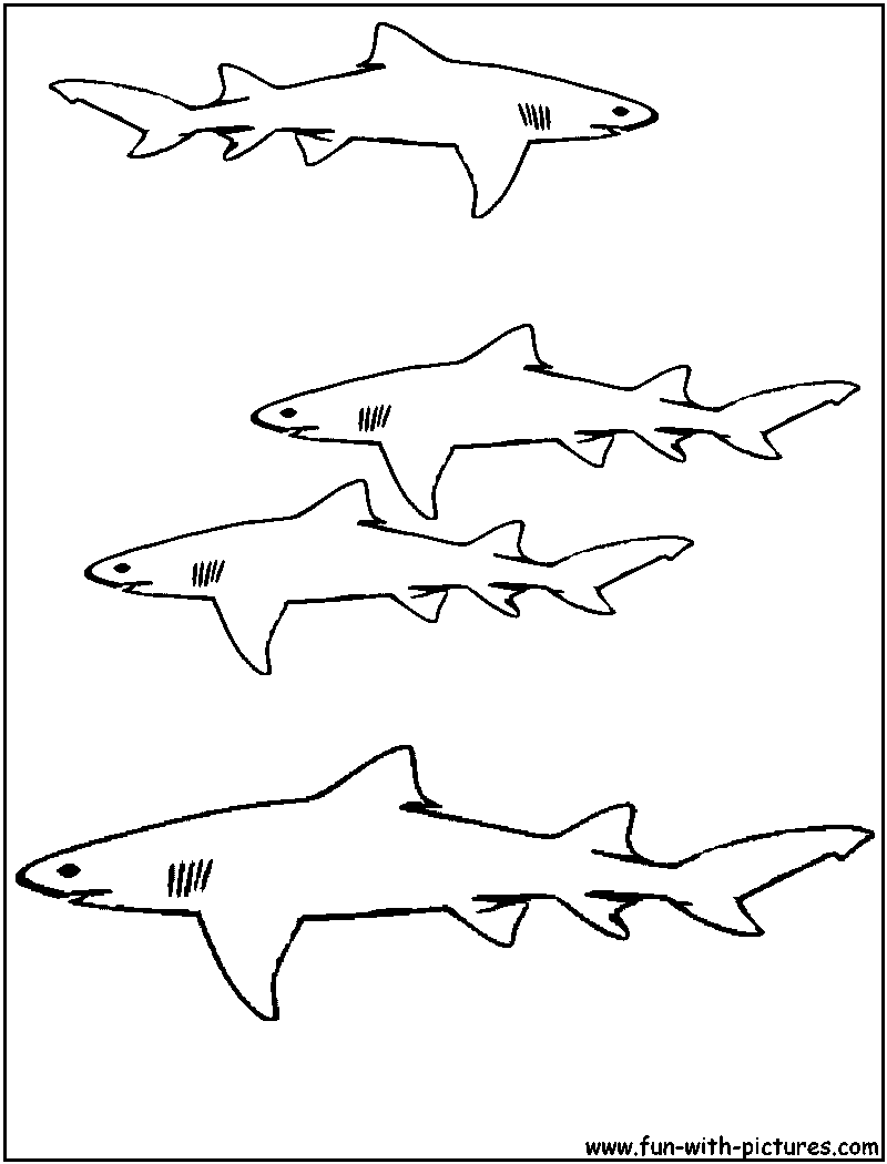 Página para colorir: Tubarão (animais) #14800 - Páginas para Colorir Imprimíveis Gratuitamente