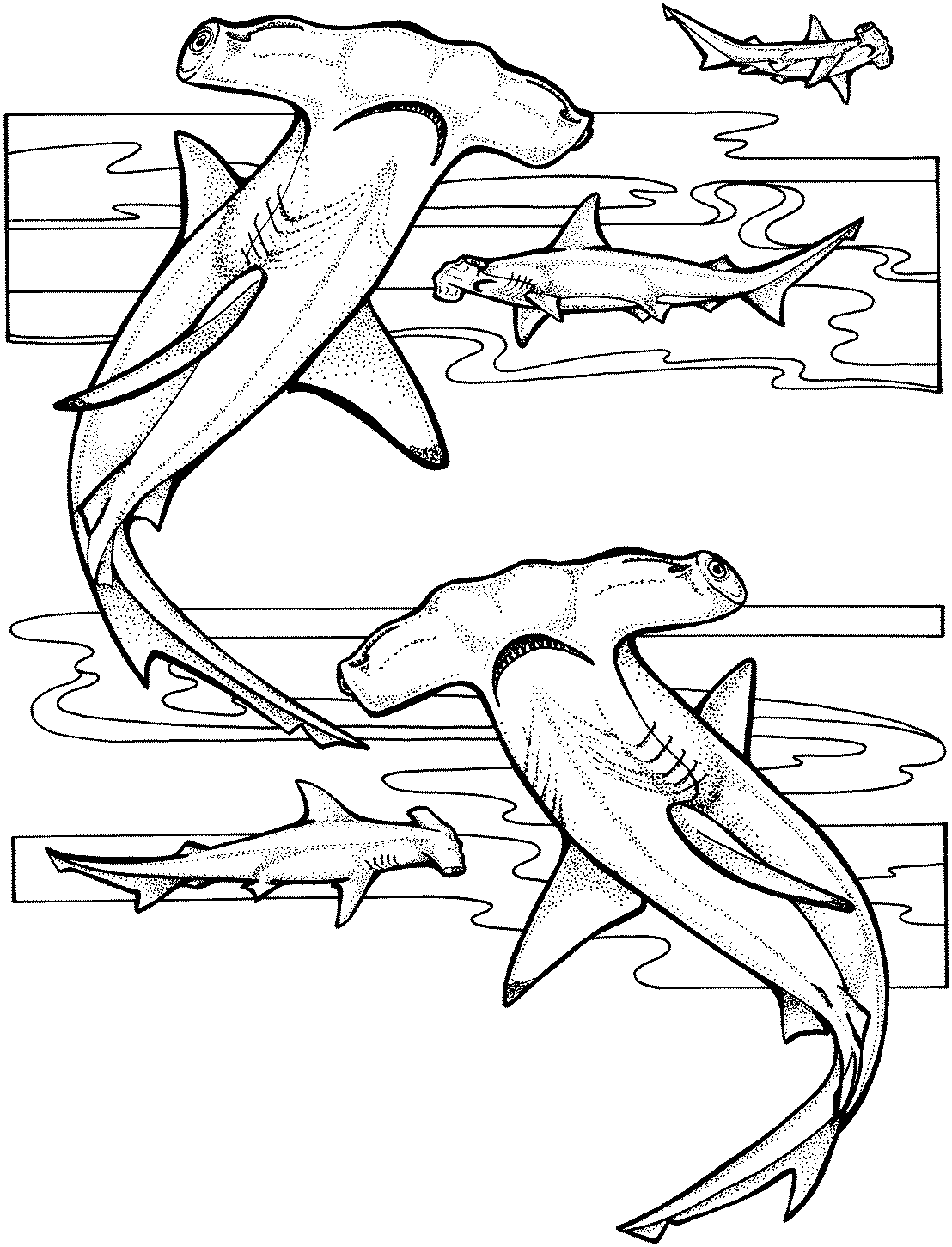 Página para colorir: Tubarão (animais) #14805 - Páginas para Colorir Imprimíveis Gratuitamente