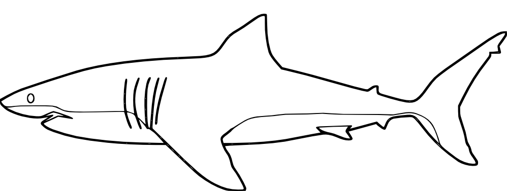 Página para colorir: Tubarão (animais) #14809 - Páginas para Colorir Imprimíveis Gratuitamente