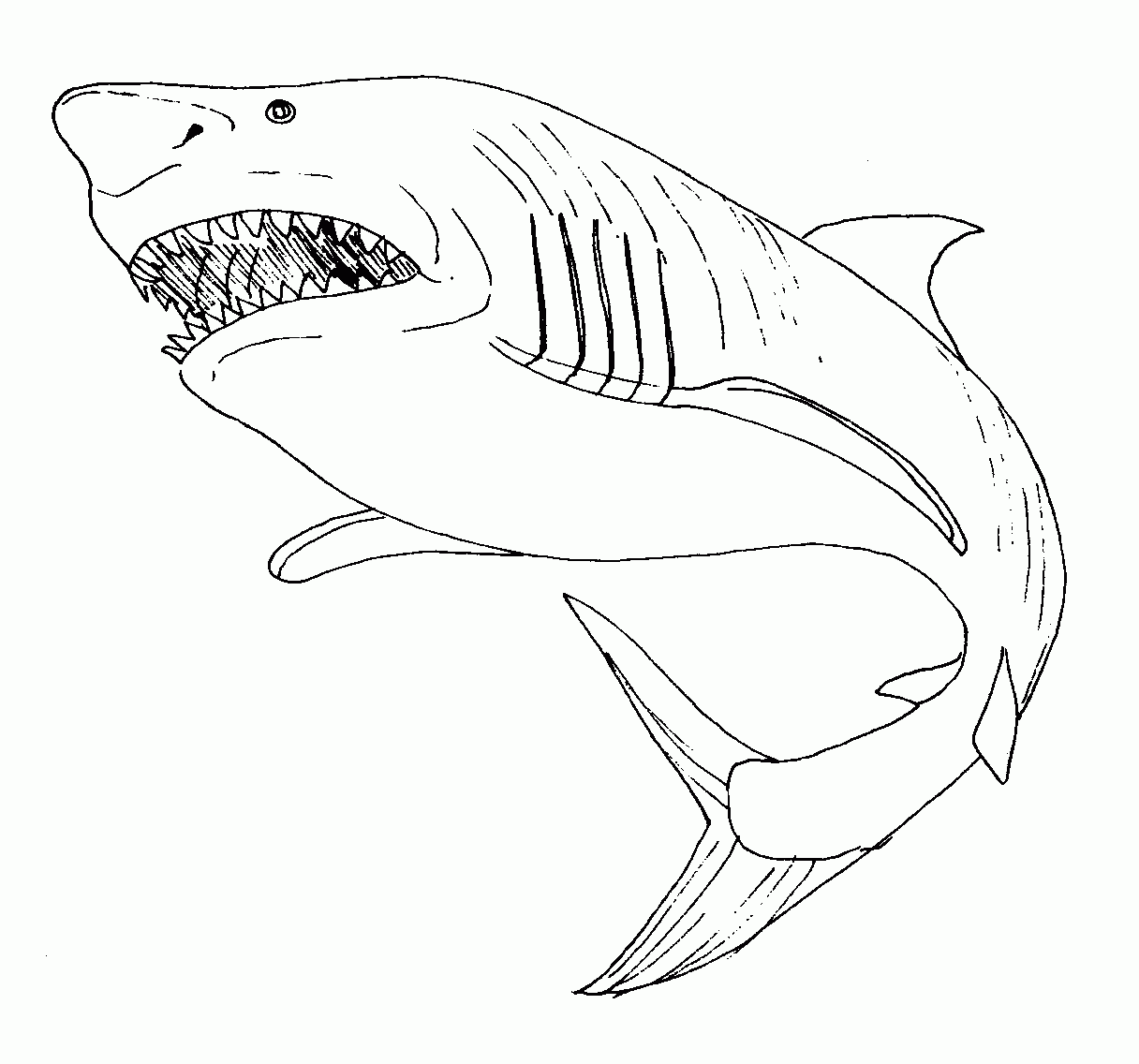 Página para colorir: Tubarão (animais) #14843 - Páginas para Colorir Imprimíveis Gratuitamente