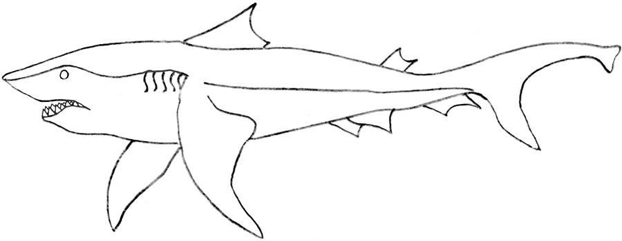 Página para colorir: Tubarão (animais) #14860 - Páginas para Colorir Imprimíveis Gratuitamente