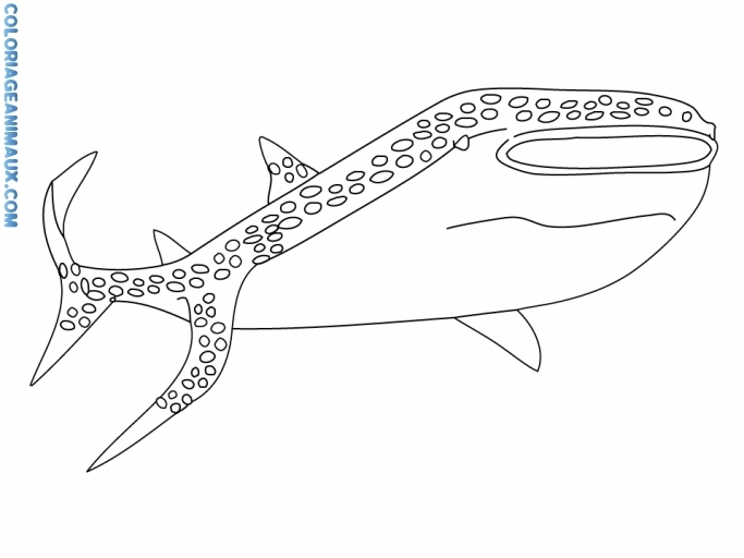 Página para colorir: Tubarão (animais) #14905 - Páginas para Colorir Imprimíveis Gratuitamente