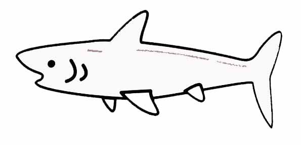 Página para colorir: Tubarão (animais) #14926 - Páginas para Colorir Imprimíveis Gratuitamente