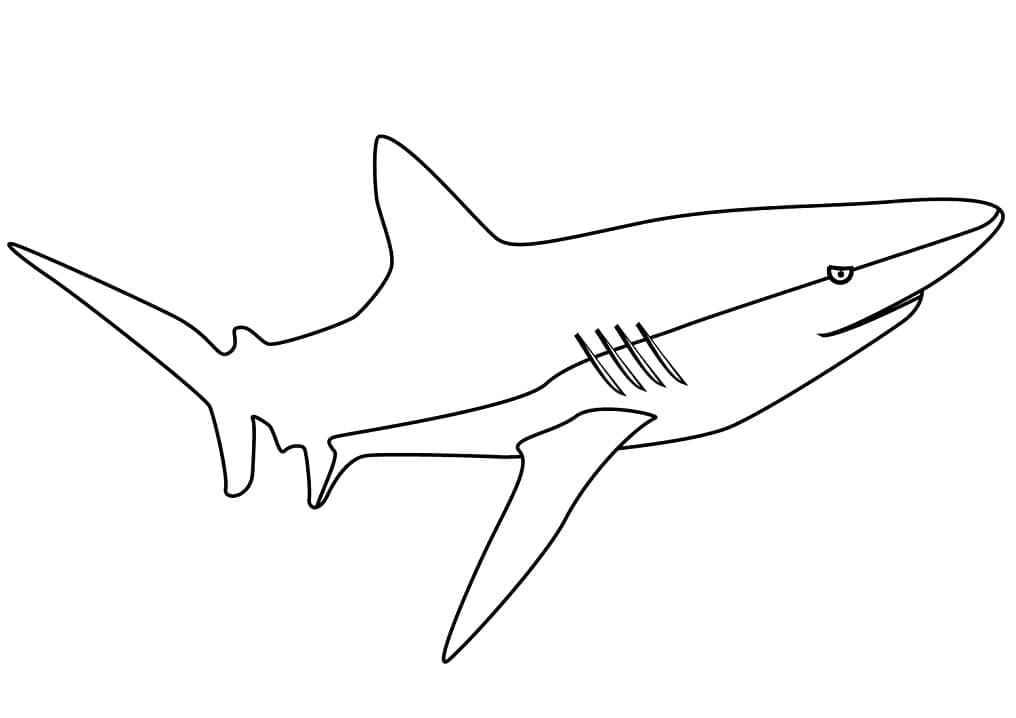 Desenho gratuito Tubarão #177719 da colecao Animais para imprimir