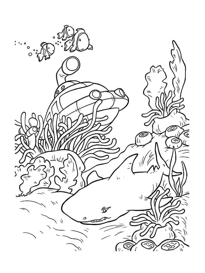 Desenho gratuito Tubarão #177730 da colecao Animais para imprimir