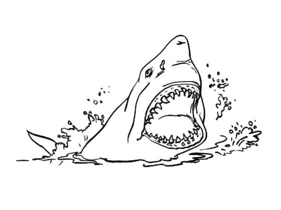 Desenho gratuito Tubarão #177732 da colecao Animais para imprimir