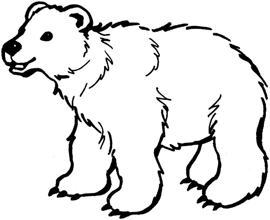 Página para colorir: Urso (animais) #12184 - Páginas para Colorir Imprimíveis Gratuitamente