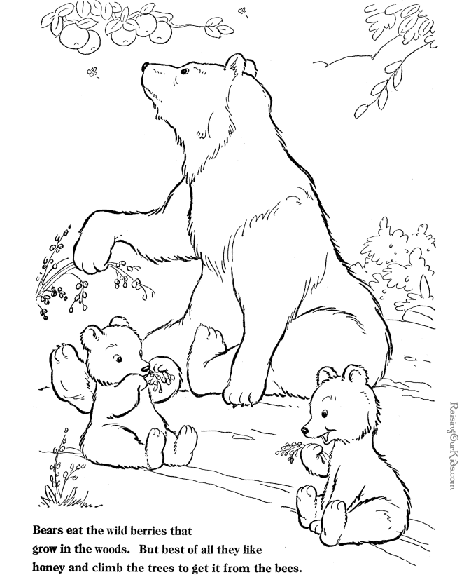 Página para colorir: Urso (animais) #12232 - Páginas para Colorir Imprimíveis Gratuitamente