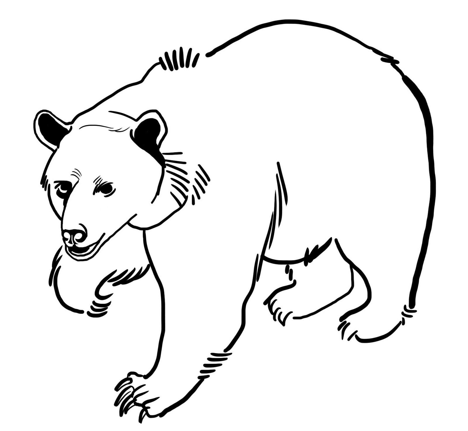 Página para colorir: Urso (animais) #12240 - Páginas para Colorir Imprimíveis Gratuitamente
